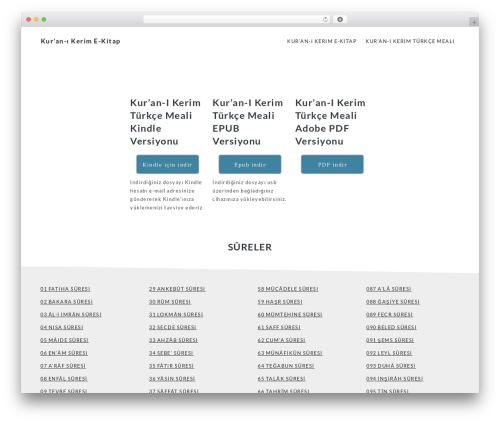 Theme WordPress Gutenberg Starter WordPress Theme - kuranekitap.com