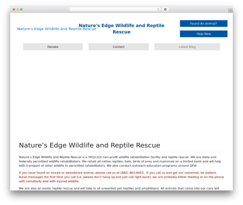 Bootstrap Basic4 theme WordPress - newrr.org