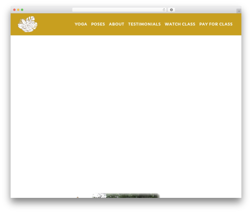 Create best WordPress theme - ominthepark.com