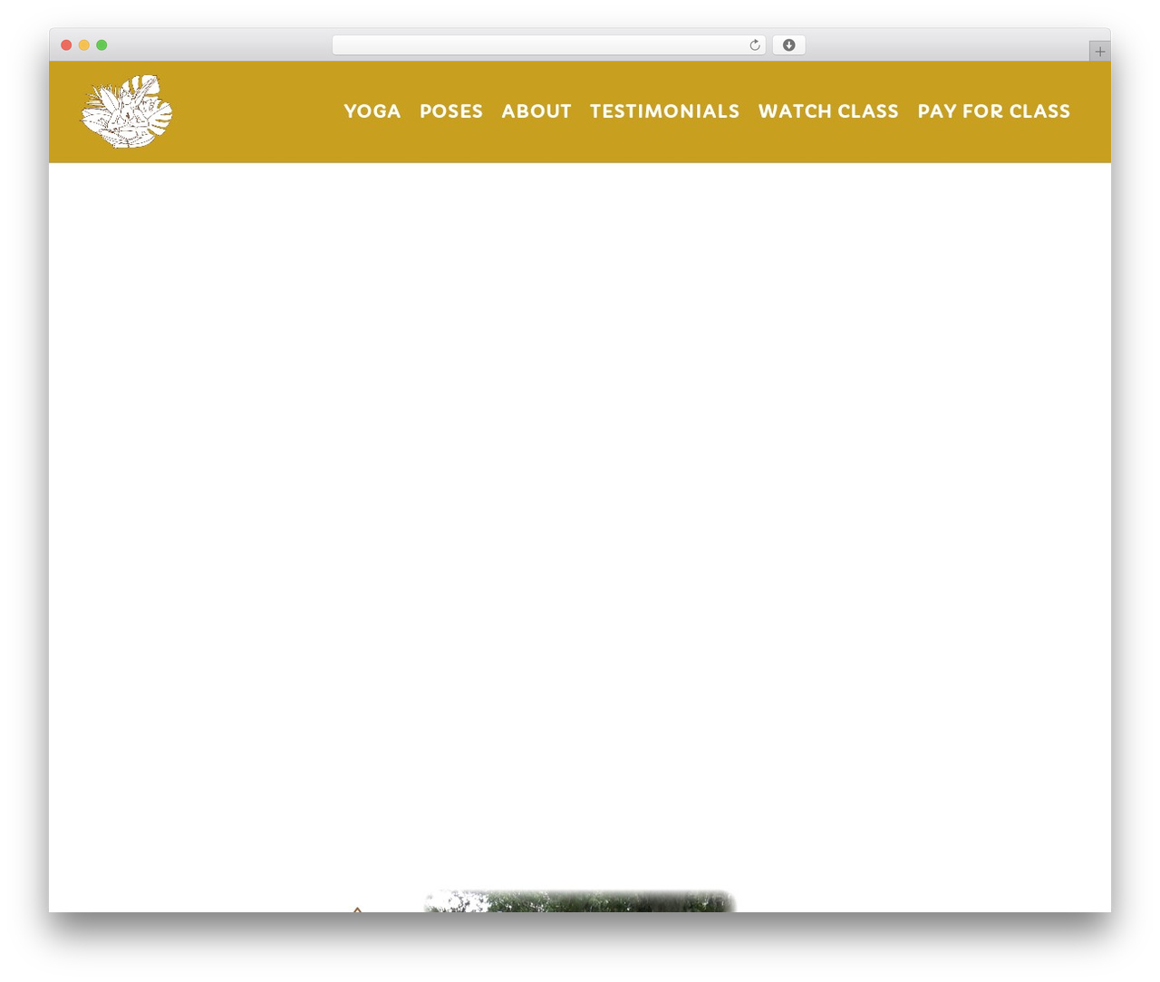 Create best WordPress theme - ominthepark.com Create best WordPress theme - ominthepark.com