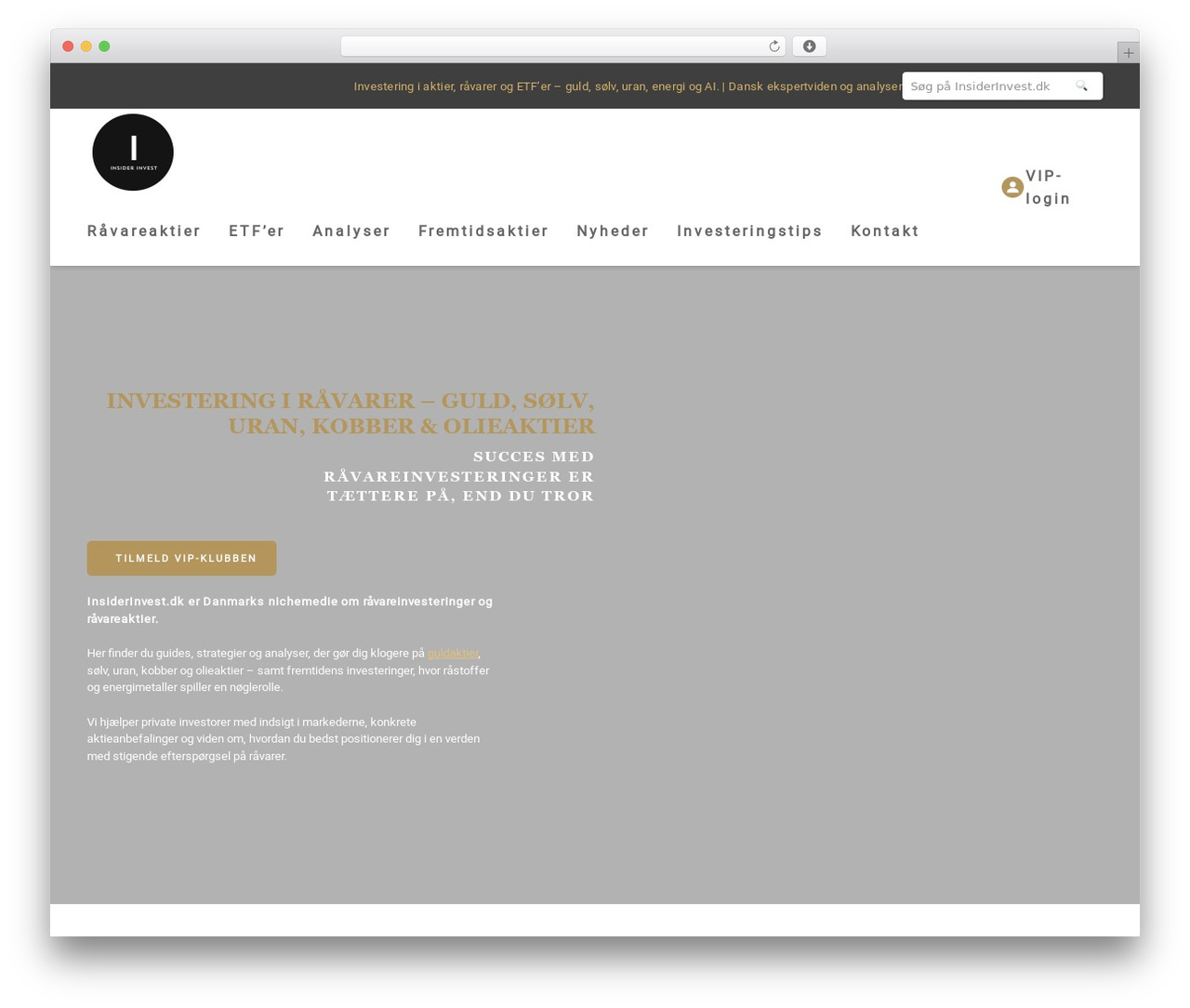 Webamp theme theme WordPress - insiderinvest.dk