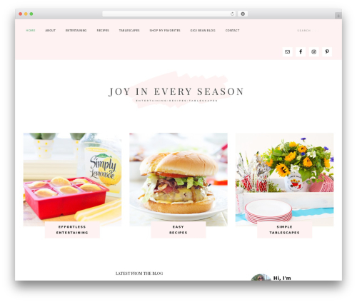 Captivating Theme WordPress theme - joyineveryseason.com