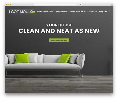 Divi WordPress theme - igotmold.com