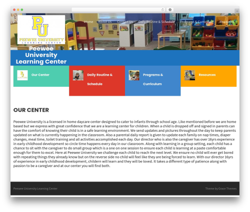 Learning Point Lite WordPress theme - peeweeuniversity.com