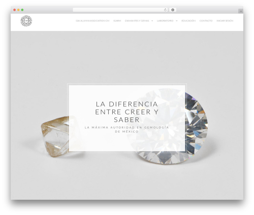 Lychee best WordPress theme - igarm.com.mx