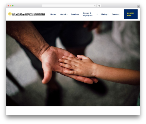 Bearsthemes addons WordPress plugin - bhsst.org