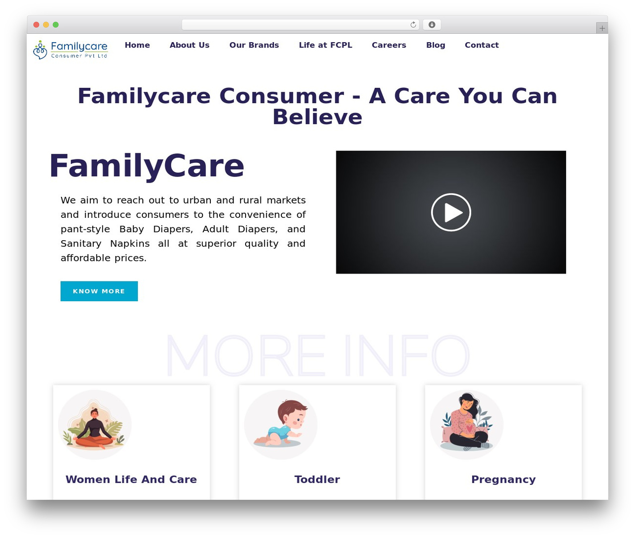Hello Elementor WordPress theme - familycareconsumer.com