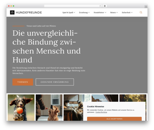 Global plugin elementor customizer WordPress plugin - freundeaufvierpfoten.com
