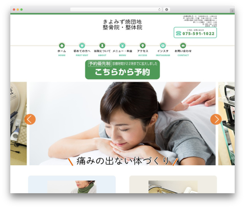 Sungrove WordPress plugin - kiyomizu-seikotsu.com
