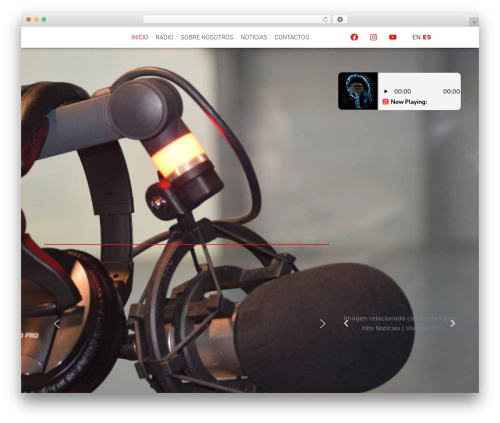 Rss feed post generator echo WordPress plugin - puntacanahits.com