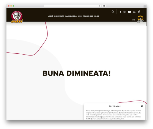 Best WordPress theme Mikel - mikelcoffee.com.tr