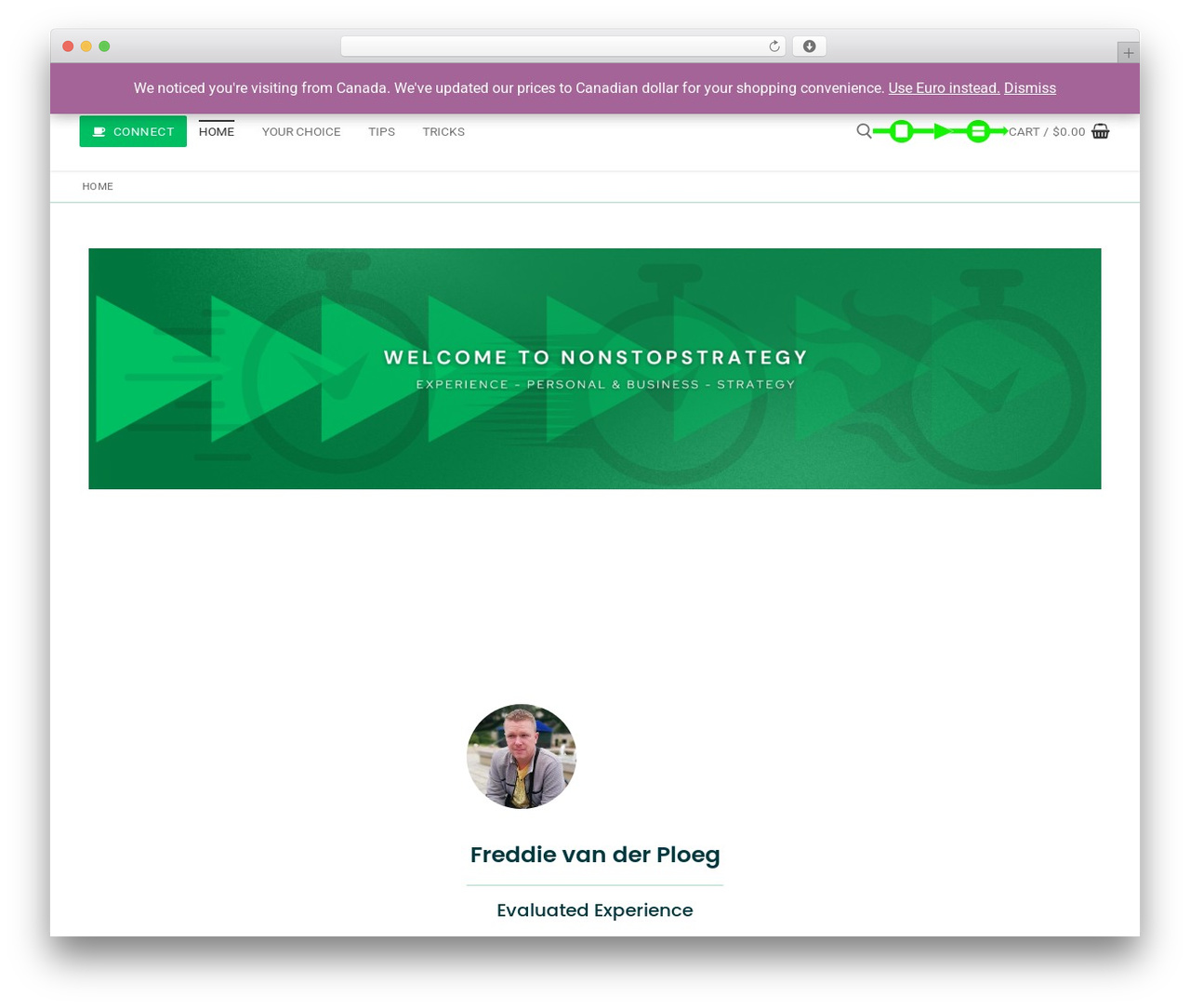 Customify WP theme - nonstopstrategy.com