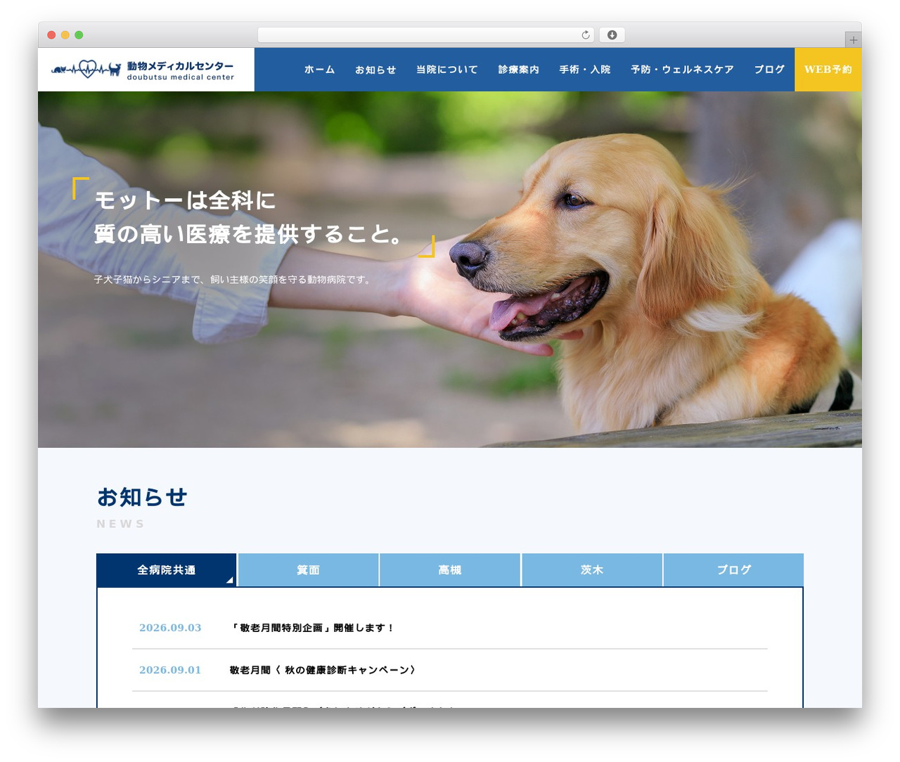 dmcgroup WordPress theme - dmcgroup.co.jp