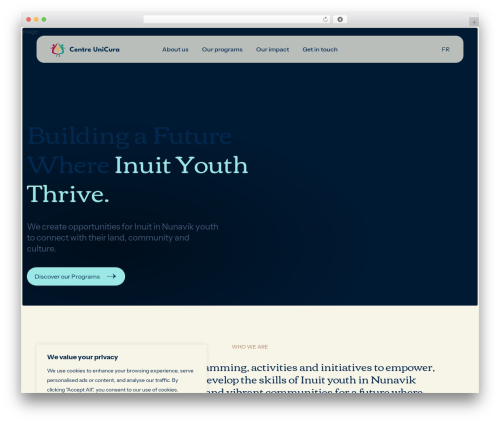 DSTheme theme WordPress - centreunicura.com