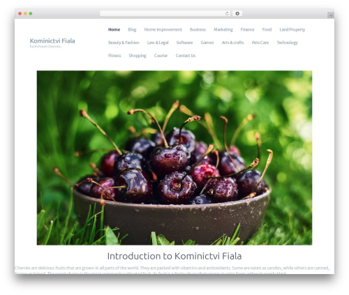 ShieldGroup WordPress theme - kominictvifiala.com