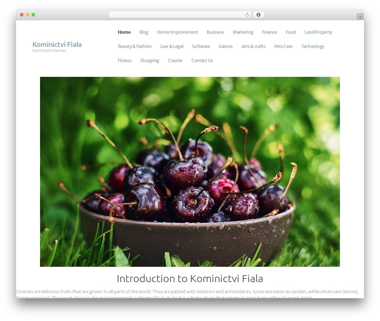 ShieldGroup WordPress theme - kominictvifiala.com