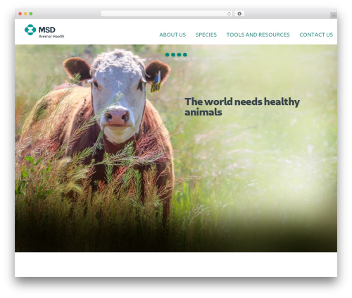 Theme WordPress MAH Theme - msd-animal-health.com.au