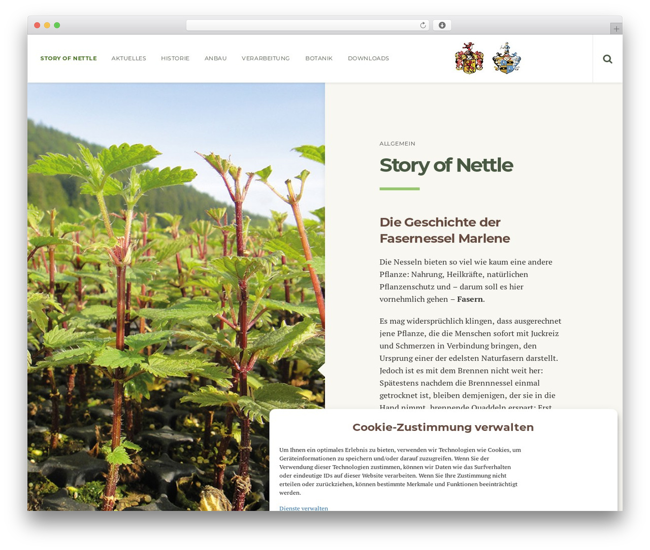 Theme WordPress Marlene - brennnessel-textil.de