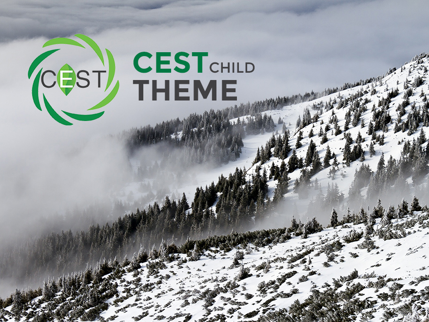 WordPress theme Cest WordPress theme Cest