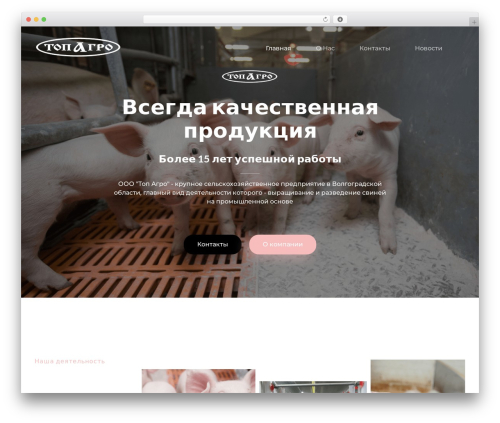 Auxin the news WordPress plugin - topagro34.ru