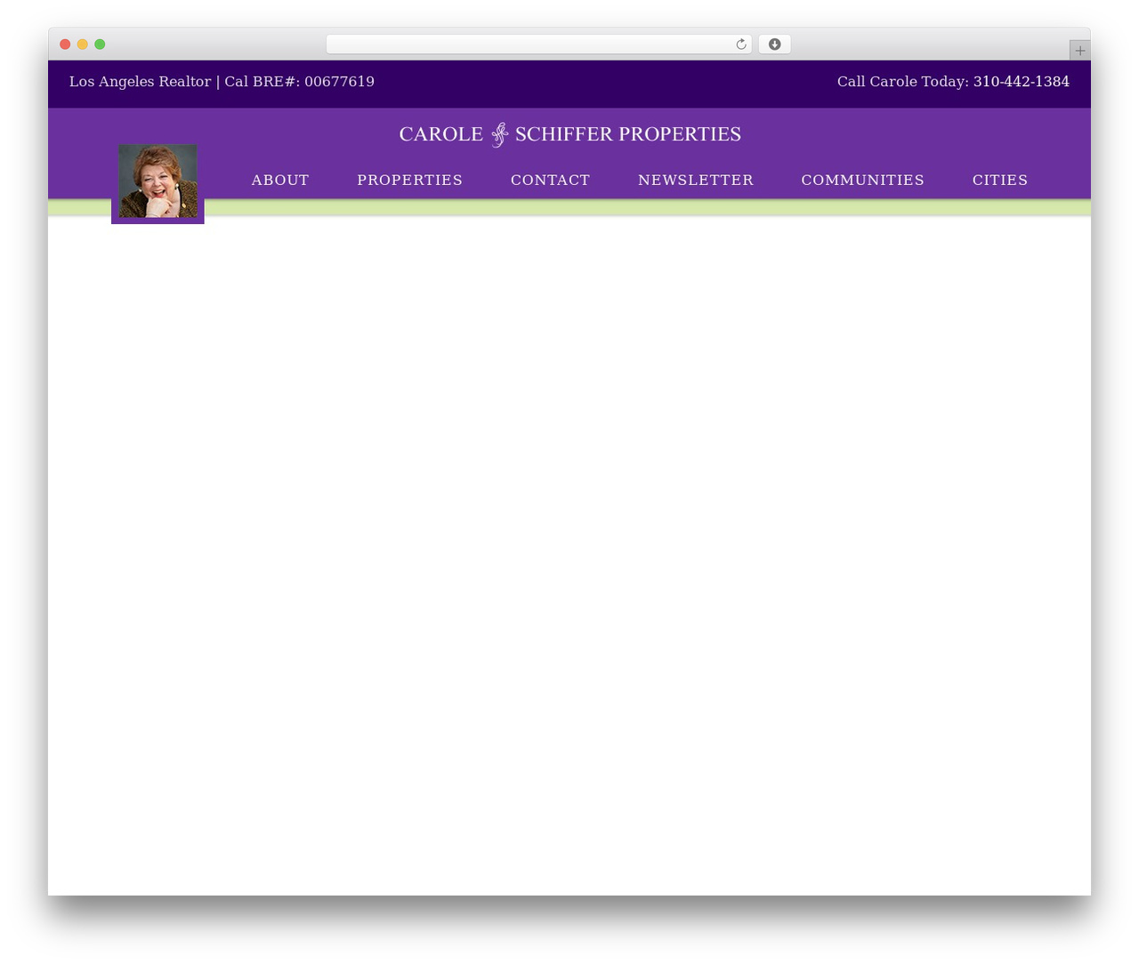 WordPress theme Carole2020 Theme - caroleschiffer.com