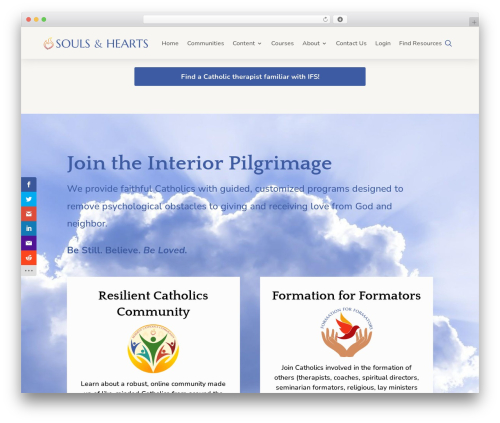 WordPress theme Divi - soulsandhearts.com