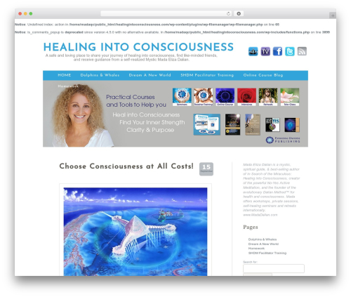 WordPress theme Tranquil Reflections - healingintoconsciousness.com