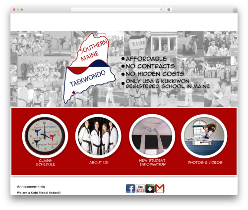 WordPress website theme Snapster - southernmainetaekwondo.com