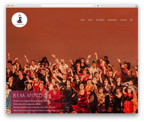 WordPress theme Chaplin - studiogesto.com.br
