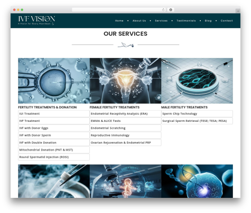 Ot_cife WordPress plugin - ivfvision.com