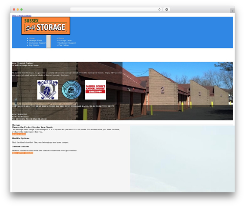 Bricks WordPress theme - sussexselfstorage.com