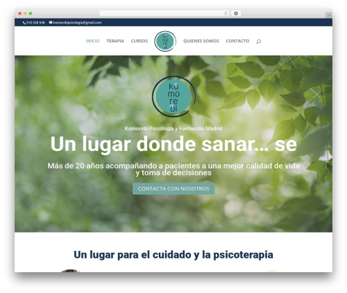 WordPress Form Customizer | CF7 Customizer (cf7-customizer) free WordPress plugin - komorebipsicologia.com