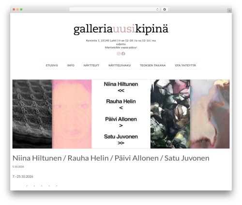 Epic theme WordPress - galleriauusikipina.fi