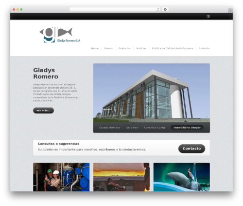 Form WordPress plugin - gladysromero.cl