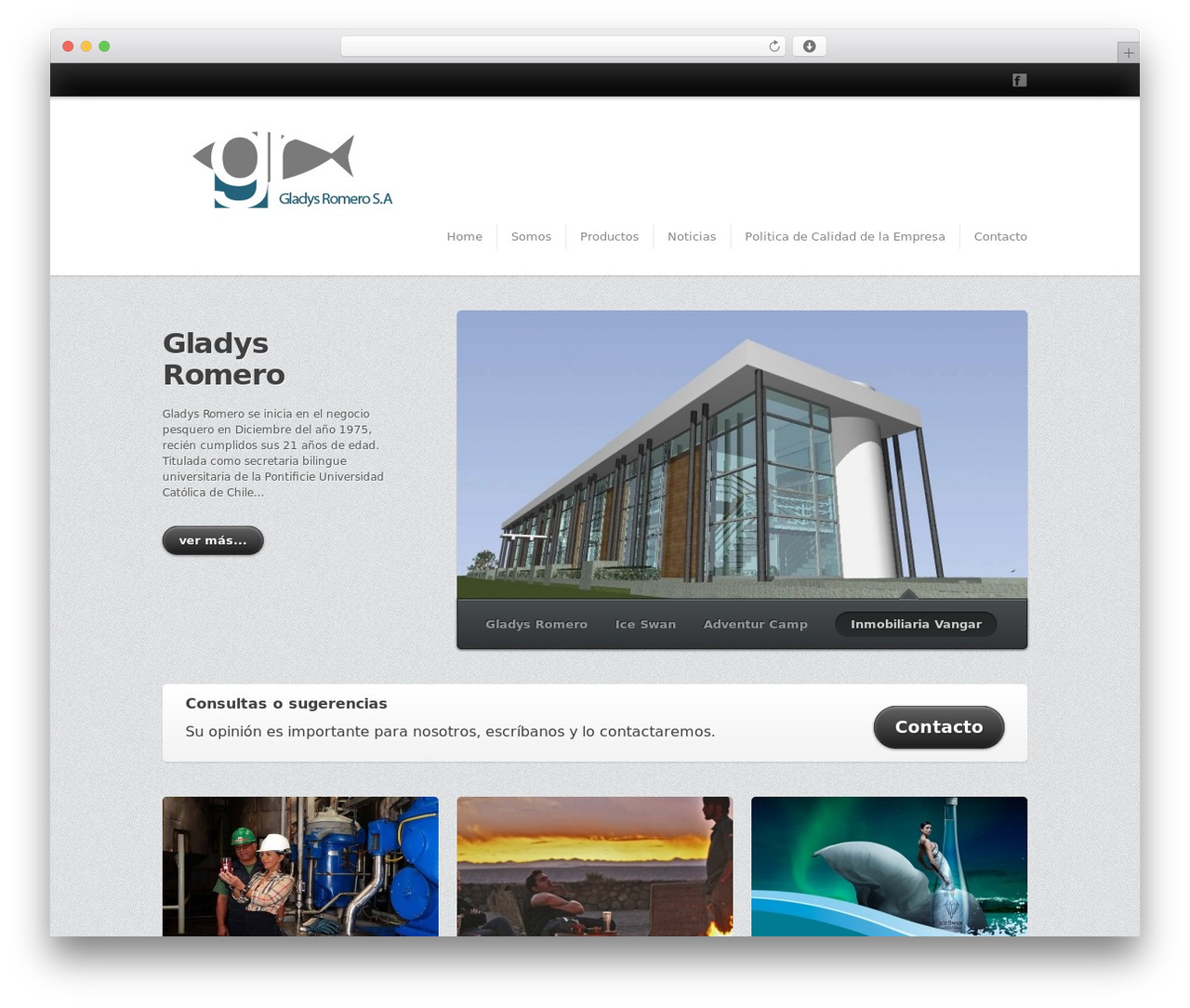 Synapse WP premium WordPress theme - gladysromero.cl
