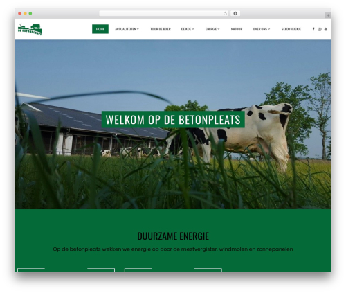 Smart Blocks (smart-blocks) free WordPress plugin - betonpleats.nl