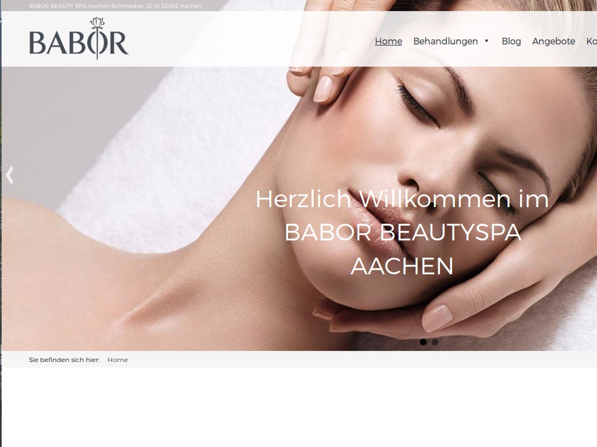 Babor WordPress theme Babor WordPress theme