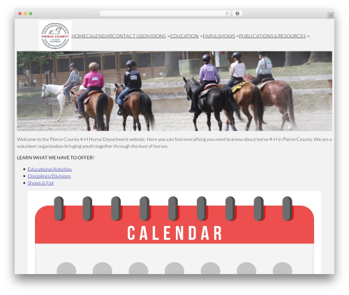 Flat Blocks WordPress theme design - pc4hhorseleaders.com