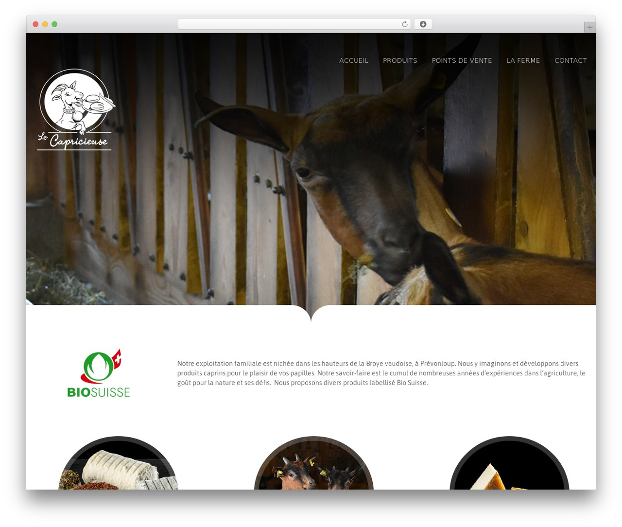 Hershel WordPress theme - lacapricieuse.ch Hershel WordPress theme - lacapricieuse.ch