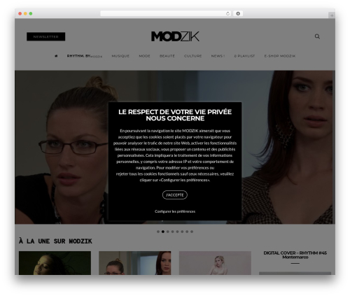 Simple News (simple-news) free WordPress plugin - modzik.com Simple News (simple-news) free WordPress plugin - modzik.com
