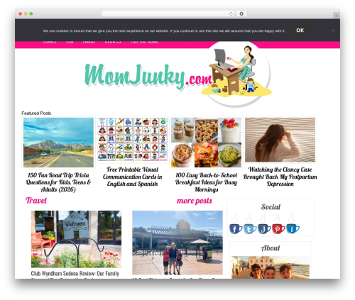 NIC Theme WP theme - momjunky.com