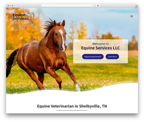Vizisites addons WordPress plugin - equineservicesllc.com