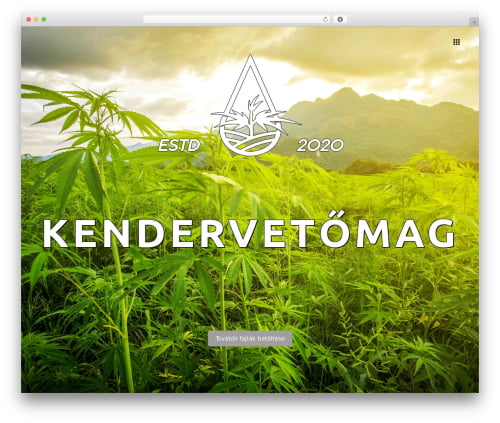 Theme WordPress Bazz - kendervetomag.hu