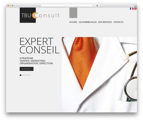 WordPress theme WordPress Theme 1444 - tbuconsult.com