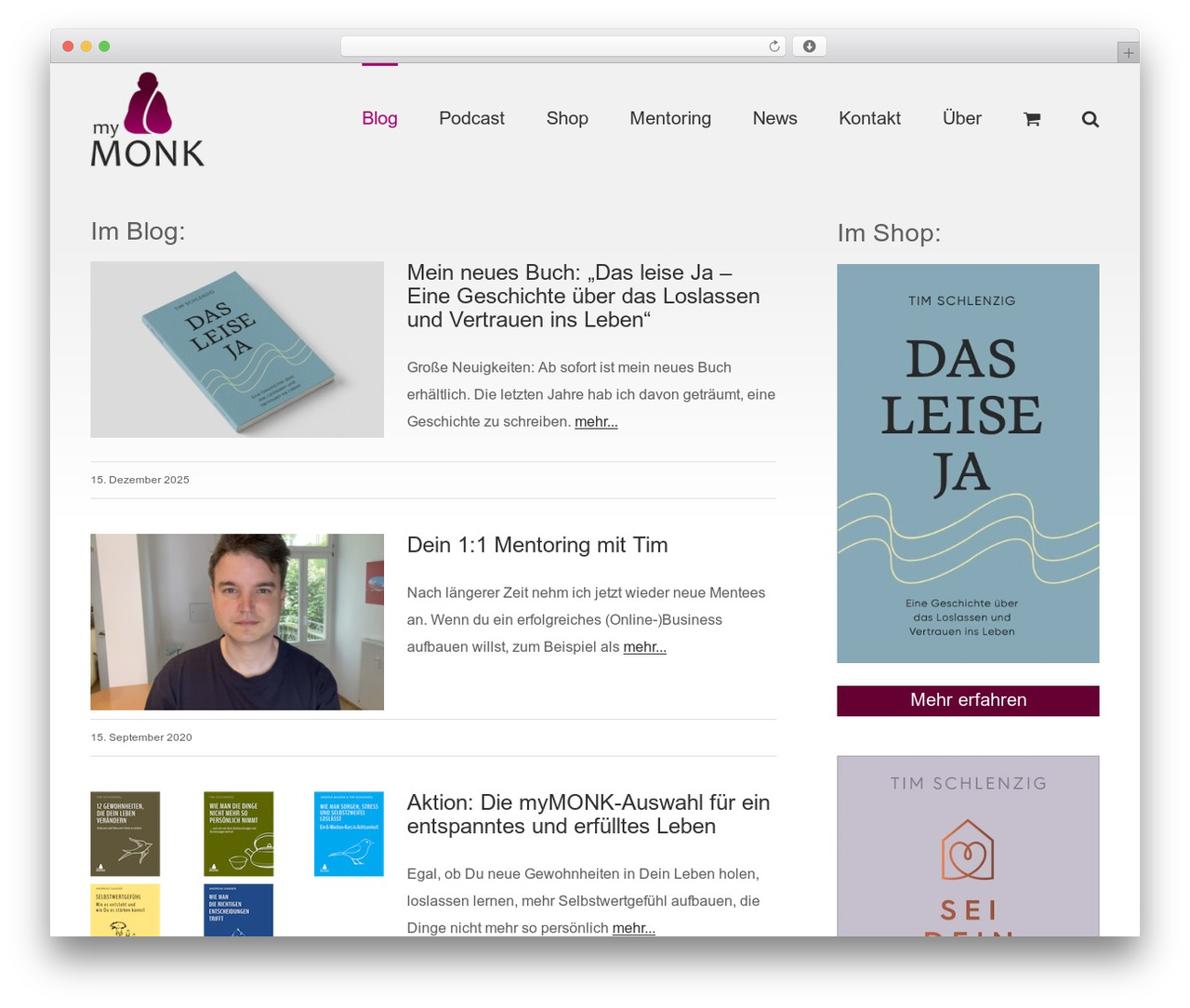 WordPress theme Avada - mymonk.de