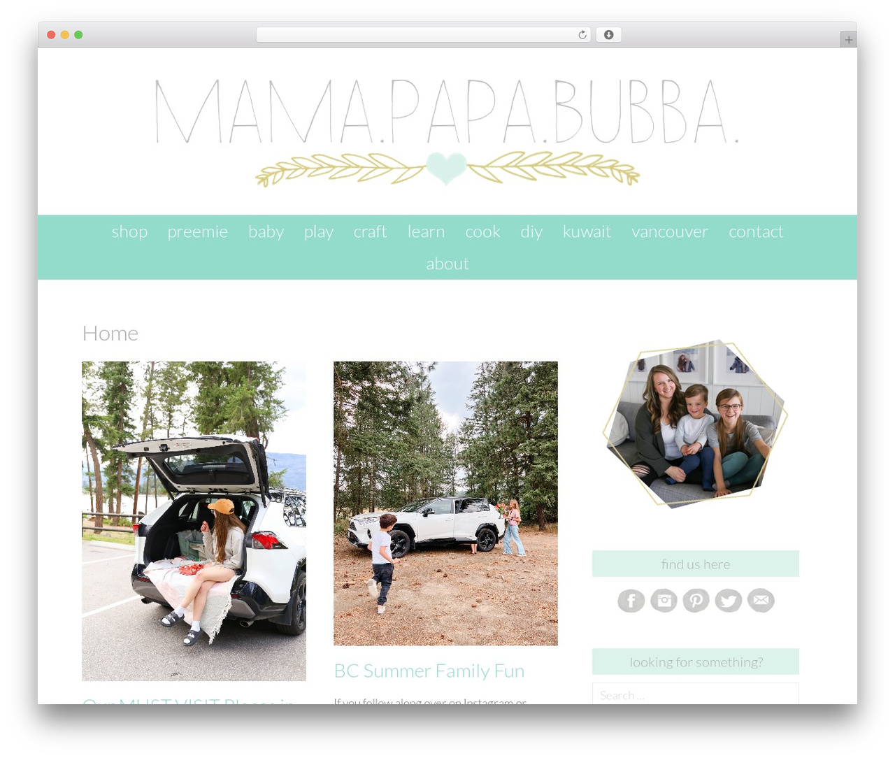 WordPress theme Mary Kate - Premium - mamapapabubba.com
