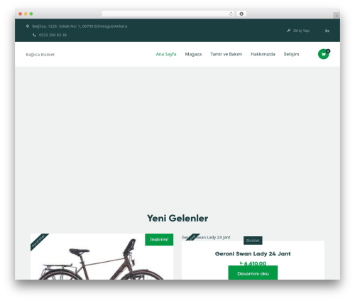 yokoo theme WordPress - baglicabisiklet.com