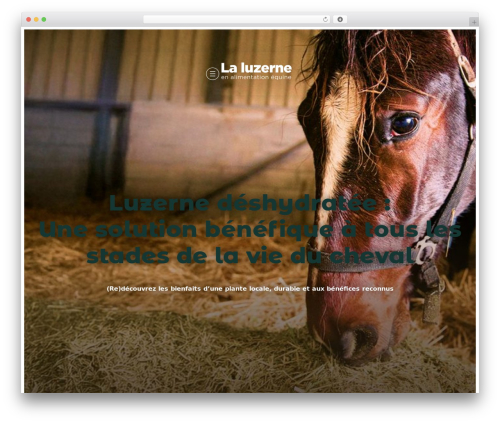 Native blocks carousel WordPress plugin - luzernes.org