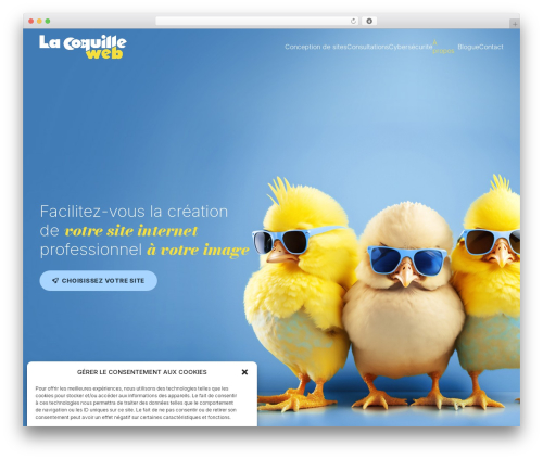 Wp rocket2 WordPress plugin - lacoquilleweb.com
