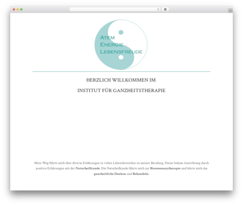 Dsgvo pixelmate premium WordPress plugin - backenecker.ch